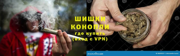 прущая мука Инсар