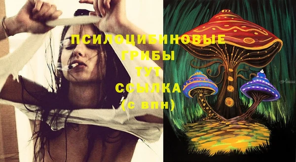 прущая мука Инсар