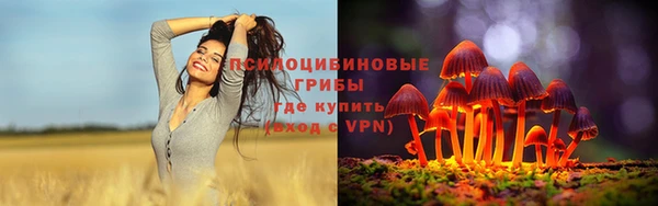 мяу мяу кристалл Иннополис