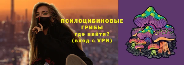 прущая мука Инсар