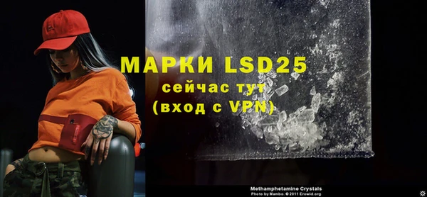 прущая мука Инсар